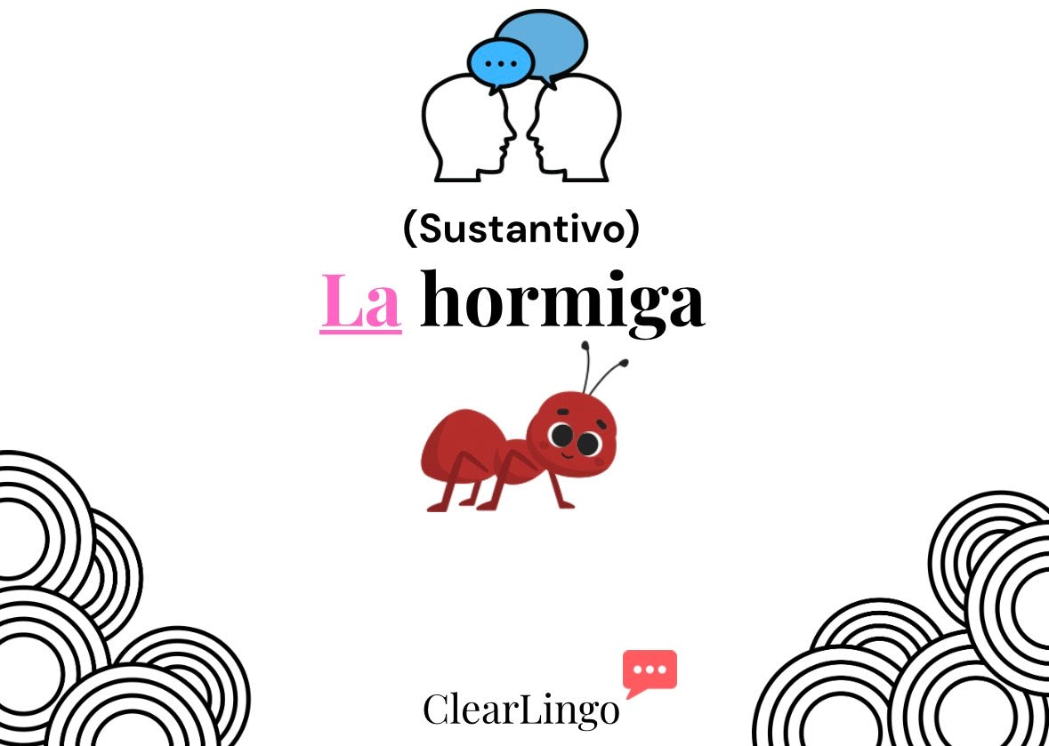 Complete Spanish Animal Deck