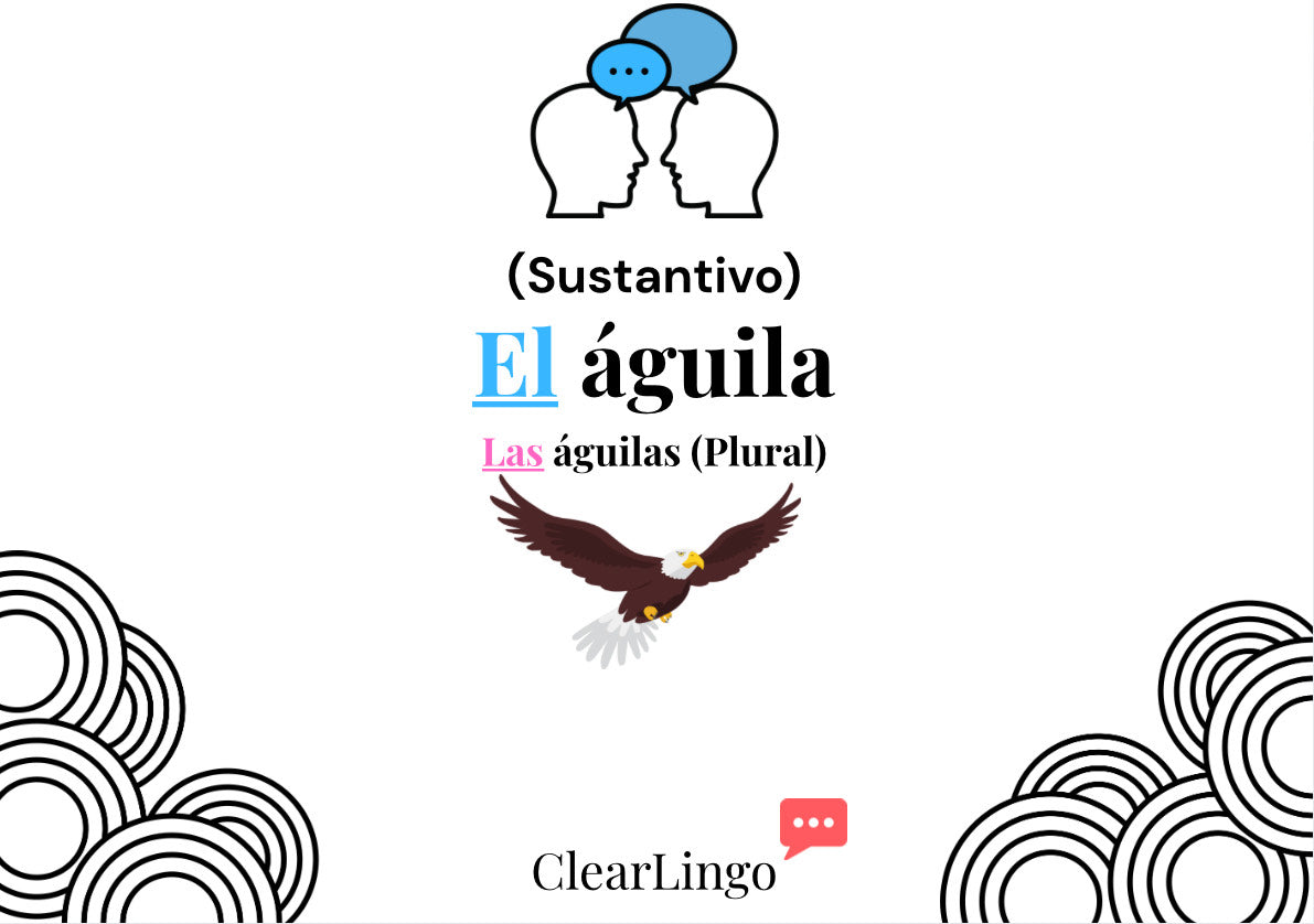 Spanish Essentials Starter Pack